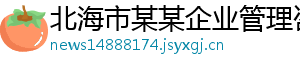北海市某某企业管理咨询业务部
